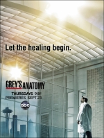 Анатомия страсти (2 сезон ) /  Grey's Anatomy 2