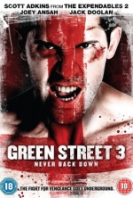 Хулиганы 3 / Green Street 3: Never Back Down