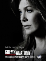 Анатомия страсти (1 сезон ) /  Grey's Anatomy 1